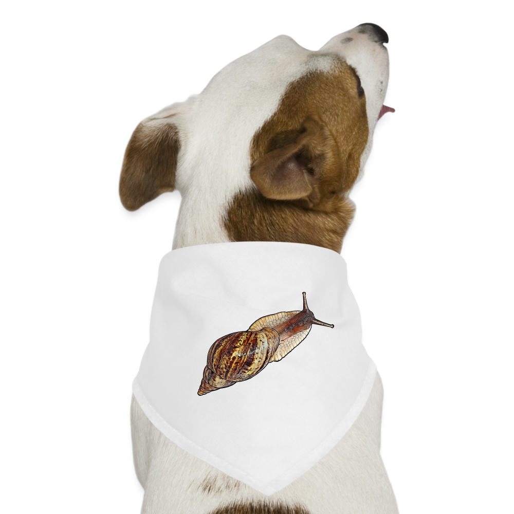 Hunde-Bandana Achatina reticulata wildfarben - weiß