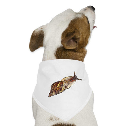 Hunde-Bandana Achatina reticulata wildfarben - weiß