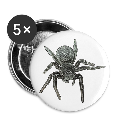 Buttons klein 25 mm (5er Pack) Eresus walckenaeri - weiß