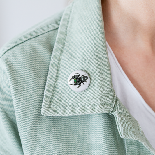 Buttons klein 25 mm (5er Pack) Phidippus regius White Bahamas male - weiß