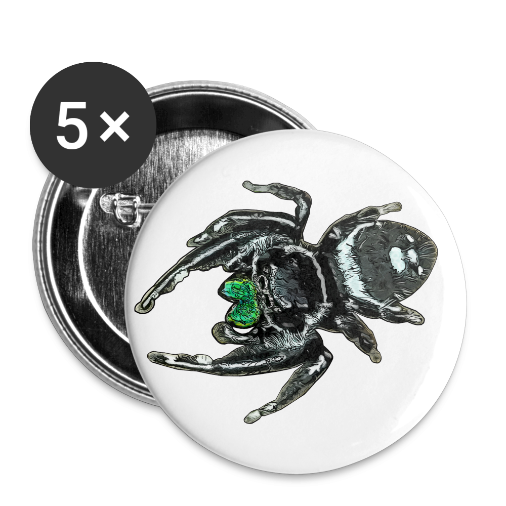 Buttons groß 56 mm (5er Pack) Phidippus regius White Bahamas male - weiß