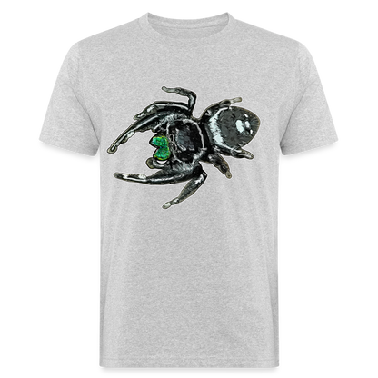 Männer Bio-T-Shirt Phidippus regius White Bahamas male - Grau meliert