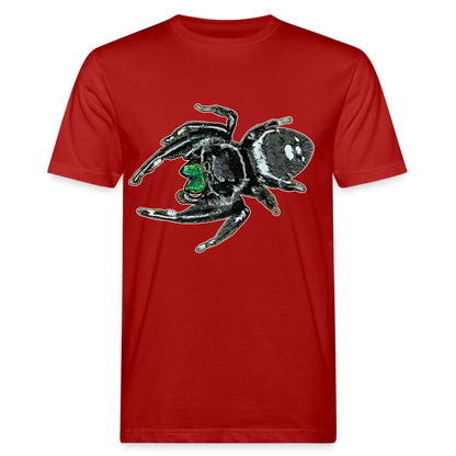 Männer Bio-T-Shirt Phidippus regius White Bahamas male - Dunkelrot