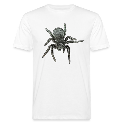 Männer Bio-T-Shirt Eresus walckenaeri - weiß