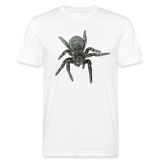 Männer Bio-T-Shirt Eresus walckenaeri - weiß