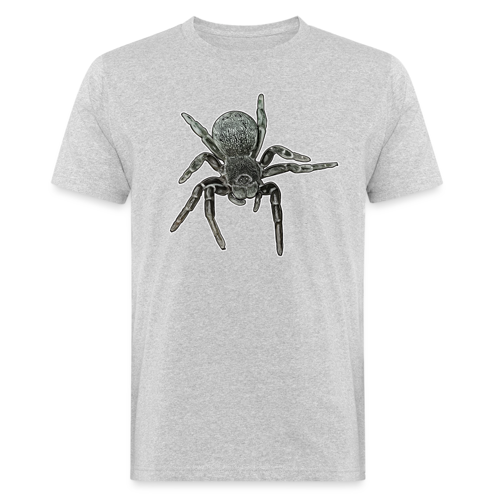 Männer Bio-T-Shirt Eresus walckenaeri - Grau meliert