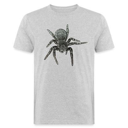 Männer Bio-T-Shirt Eresus walckenaeri - Grau meliert