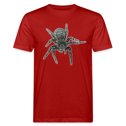 Männer Bio-T-Shirt Eresus walckenaeri - Dunkelrot