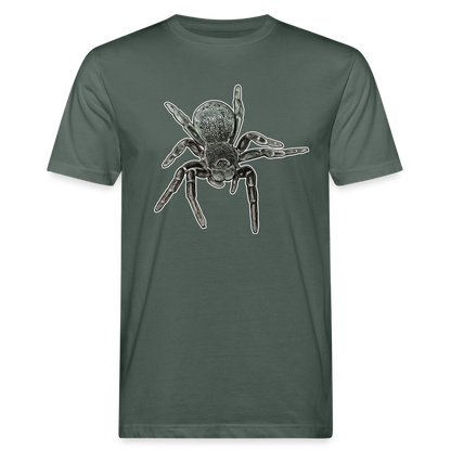 Männer Bio-T-Shirt Eresus walckenaeri - Graugrün