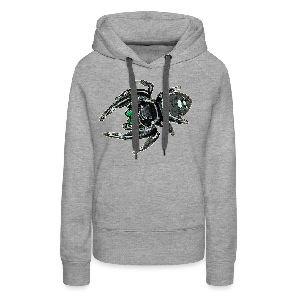Frauen Hoodie Phidippus regius White Bahamas male - Grau meliert