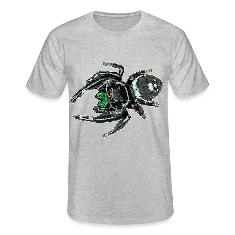 Männer Fruit of the Loom T-Shirt Phidippus regius White Bahamas male - Grau meliert