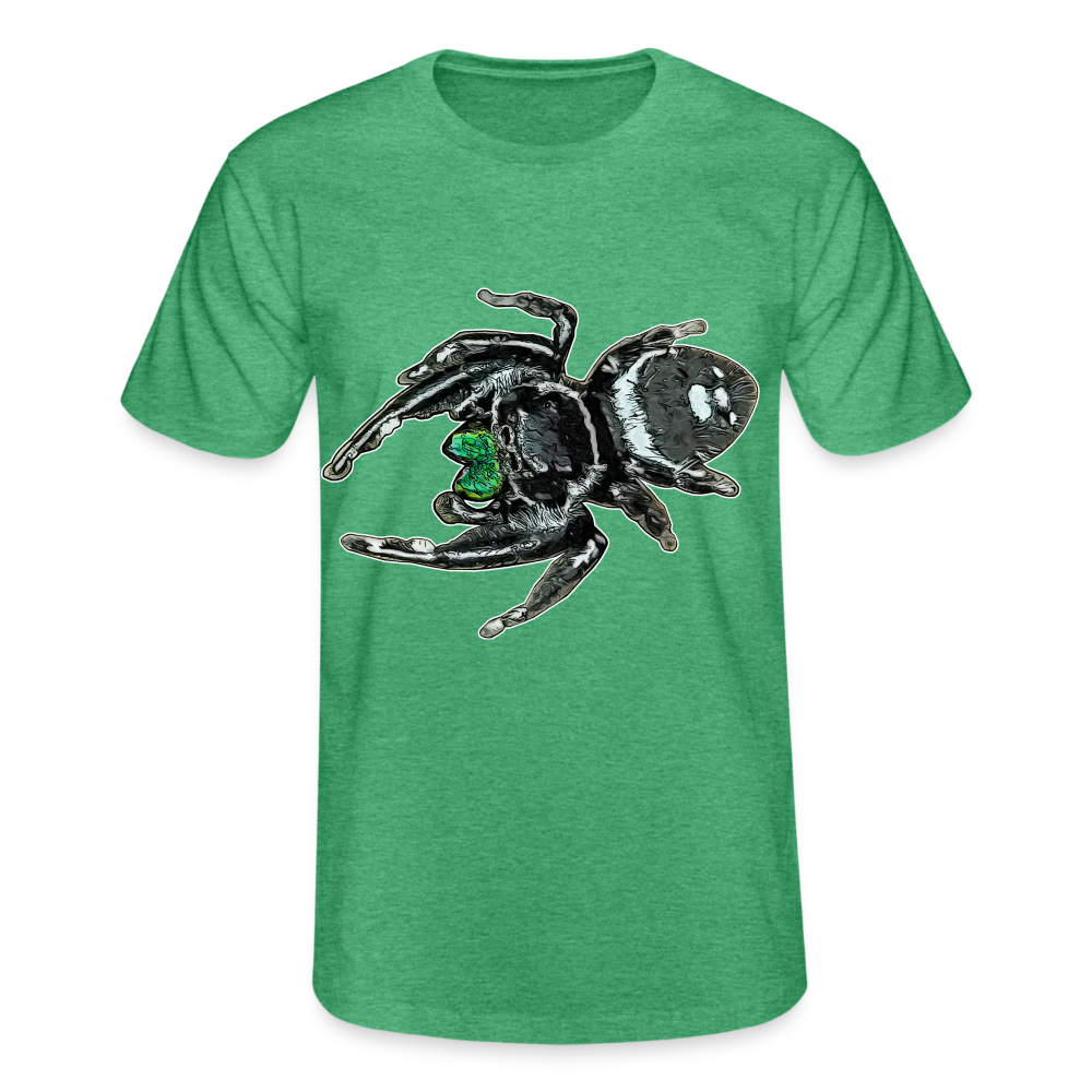 Männer Fruit of the Loom T-Shirt Phidippus regius White Bahamas male - Grün meliert