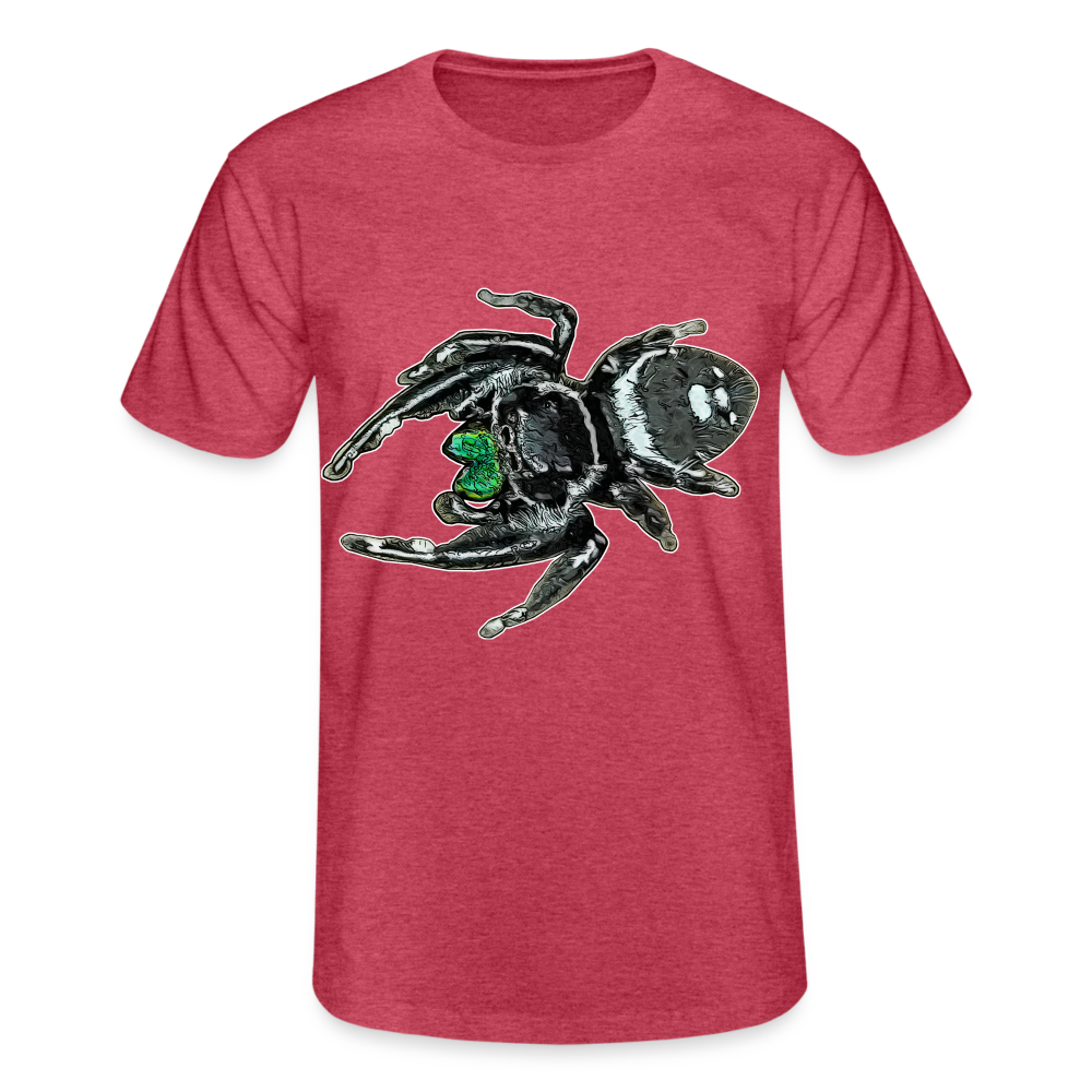 Männer Fruit of the Loom T-Shirt Phidippus regius White Bahamas male - Rot meliert