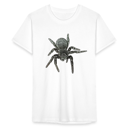 Männer Fruit of the Loom T-Shirt Eresus walckenaeri - weiß