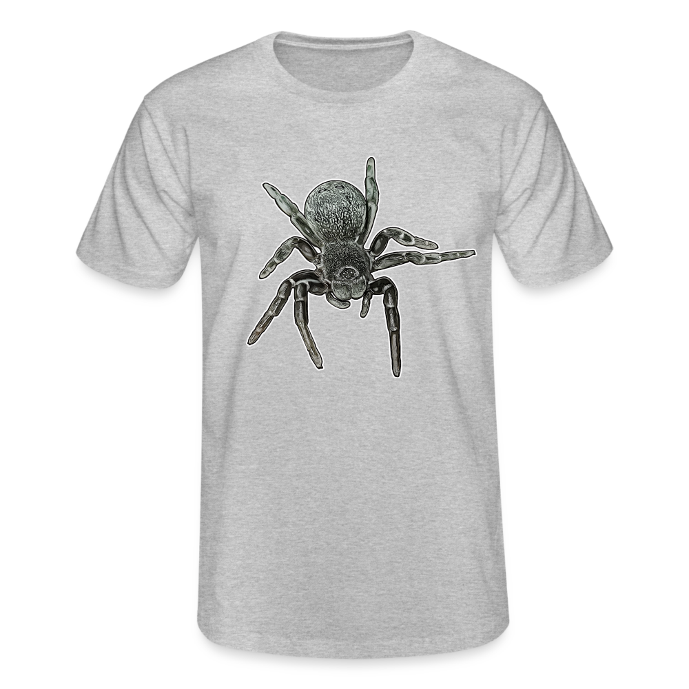 Männer Fruit of the Loom T-Shirt Eresus walckenaeri - Grau meliert