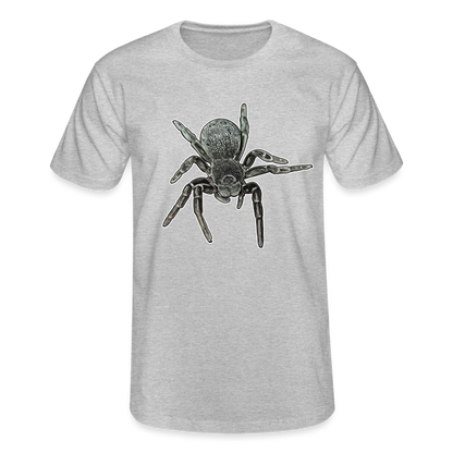 Männer Fruit of the Loom T-Shirt Eresus walckenaeri - Grau meliert