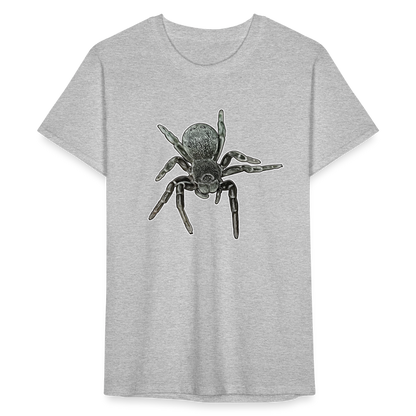 Männer Fruit of the Loom T-Shirt Eresus walckenaeri - Grau meliert