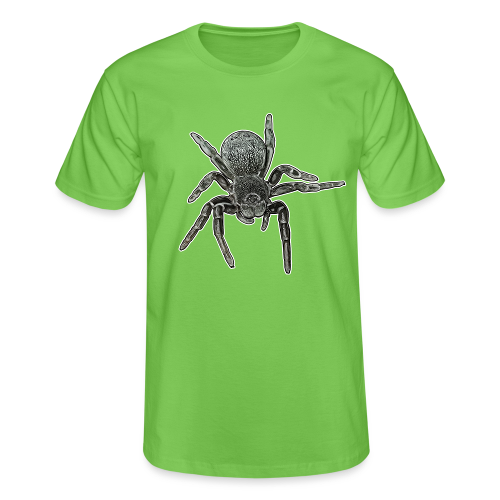 Männer Fruit of the Loom T-Shirt Eresus walckenaeri - Hellgrün