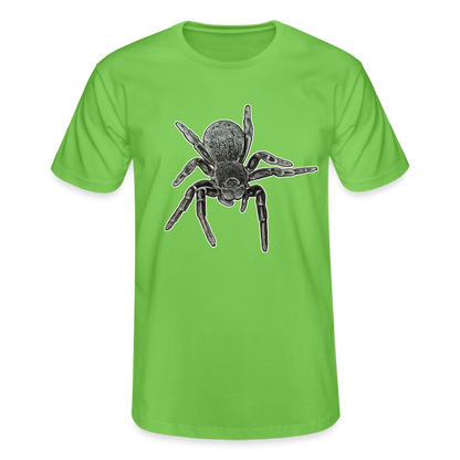 Männer Fruit of the Loom T-Shirt Eresus walckenaeri - Hellgrün