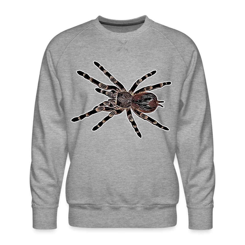 Männer Pullover Acanthoscurria geniculata - Grau meliert