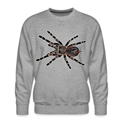 Männer Pullover Acanthoscurria geniculata - Grau meliert