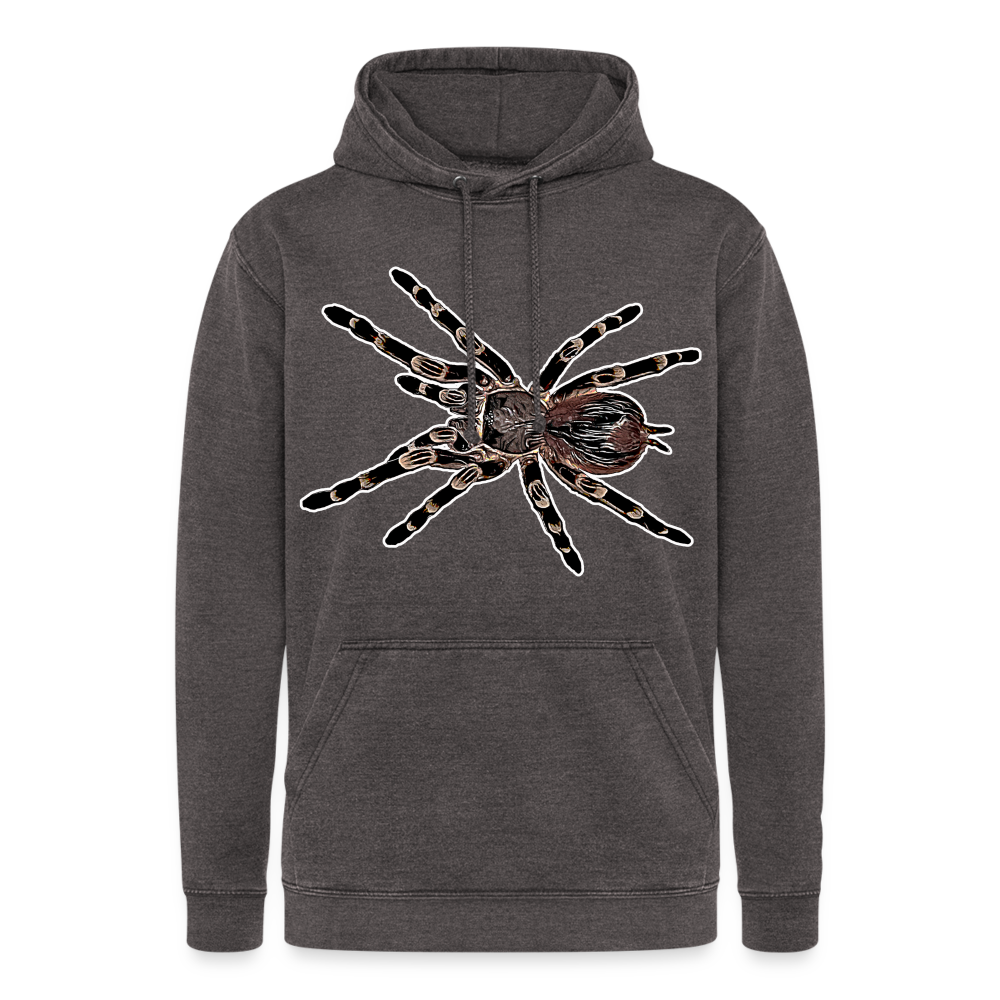 Unisex Vintage Hoodie Acanthoscurria geniculata - Vintage Grau