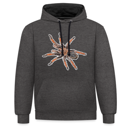 Unisex Kontrast-Hoodie Brachypelma emilia - Anthrazit/Schwarz