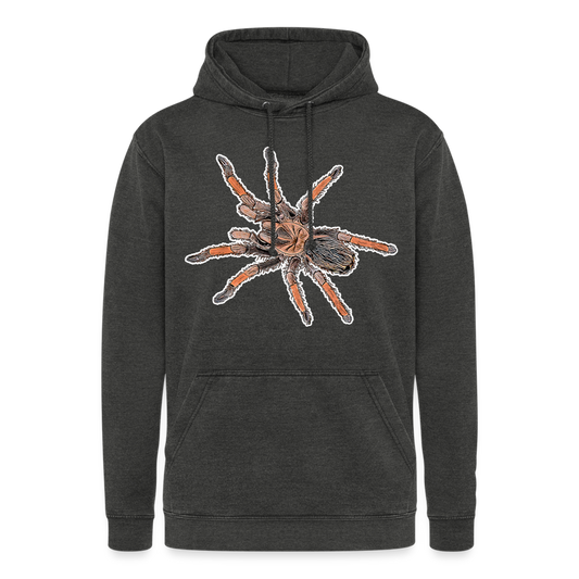 Unisex Vintage Hoodie Brachypelma emilia - Vintage Schwarz