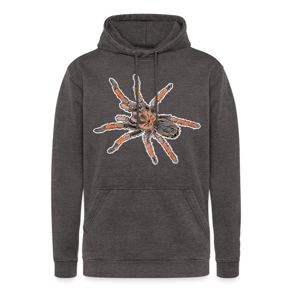 Unisex Vintage Hoodie Brachypelma emilia - Vintage Grau