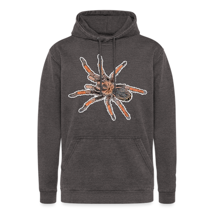 Unisex Vintage Hoodie Brachypelma emilia - Vintage Grau