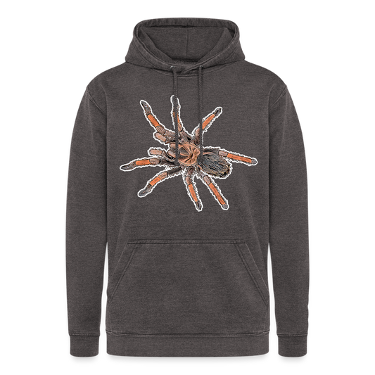 Unisex Vintage Hoodie Brachypelma emilia - Vintage Grau