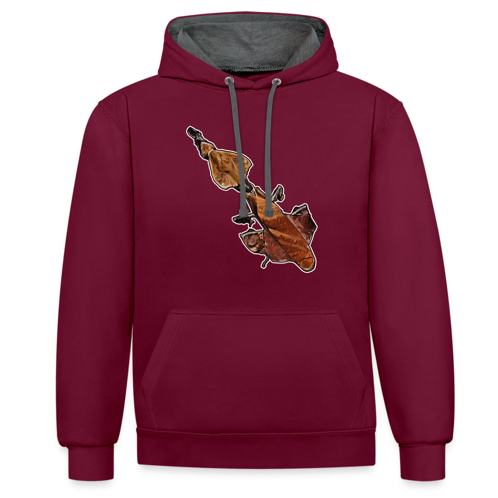 Unisex Kontrast-Hoodie Phyllocrania paradoxa female - Weinrot/Anthrazit