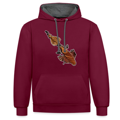 Unisex Kontrast-Hoodie Phyllocrania paradoxa female - Weinrot/Anthrazit