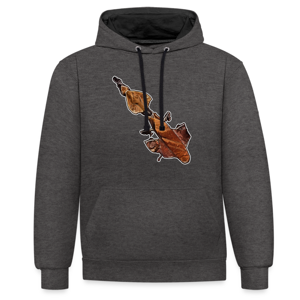 Unisex Kontrast-Hoodie Phyllocrania paradoxa female - Anthrazit/Schwarz