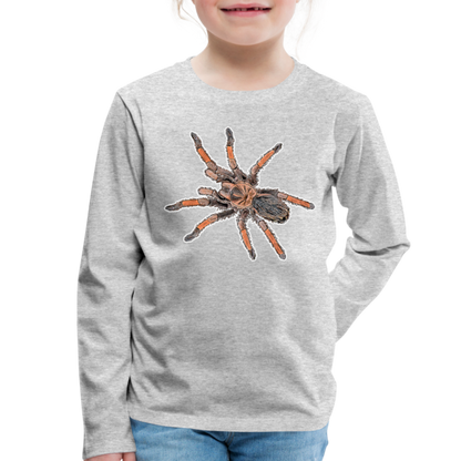 Kinder Longsleeve Brachypelma emilia - Grau meliert