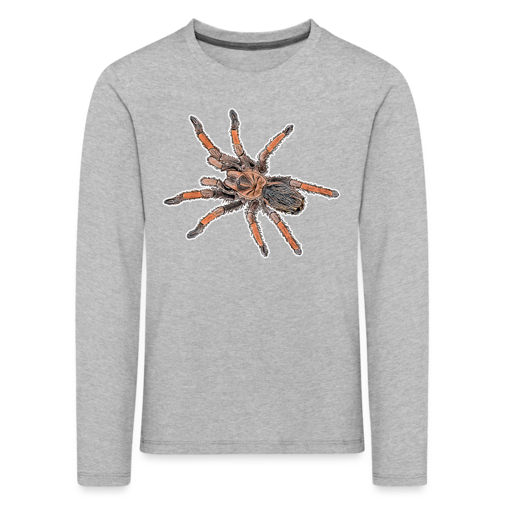 Kinder Longsleeve Brachypelma emilia - Grau meliert
