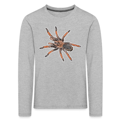 Kinder Longsleeve Brachypelma emilia - Grau meliert