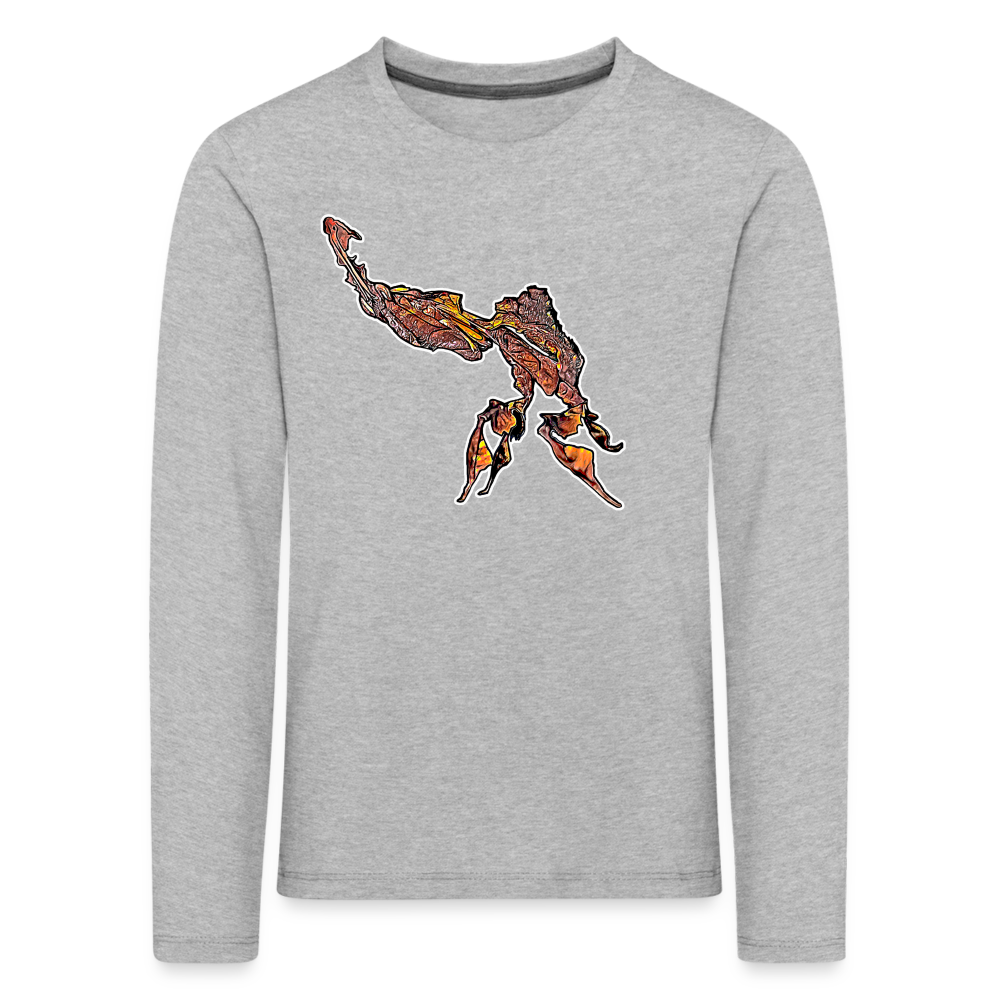 Kinder Longsleeve Phyllocrania paradoxa male - Grau meliert