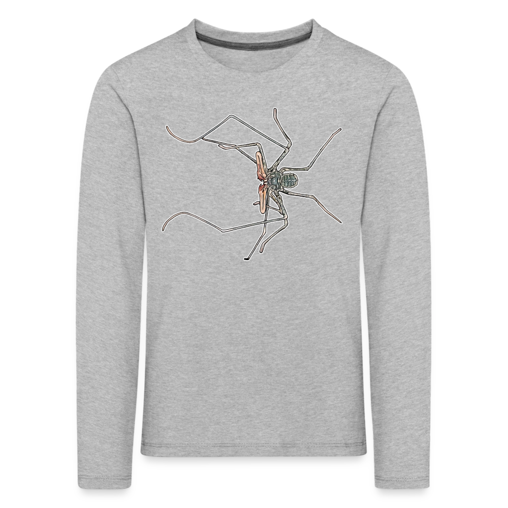 Kinder Longsleeve Euphrynichus bacillifer - Grau meliert
