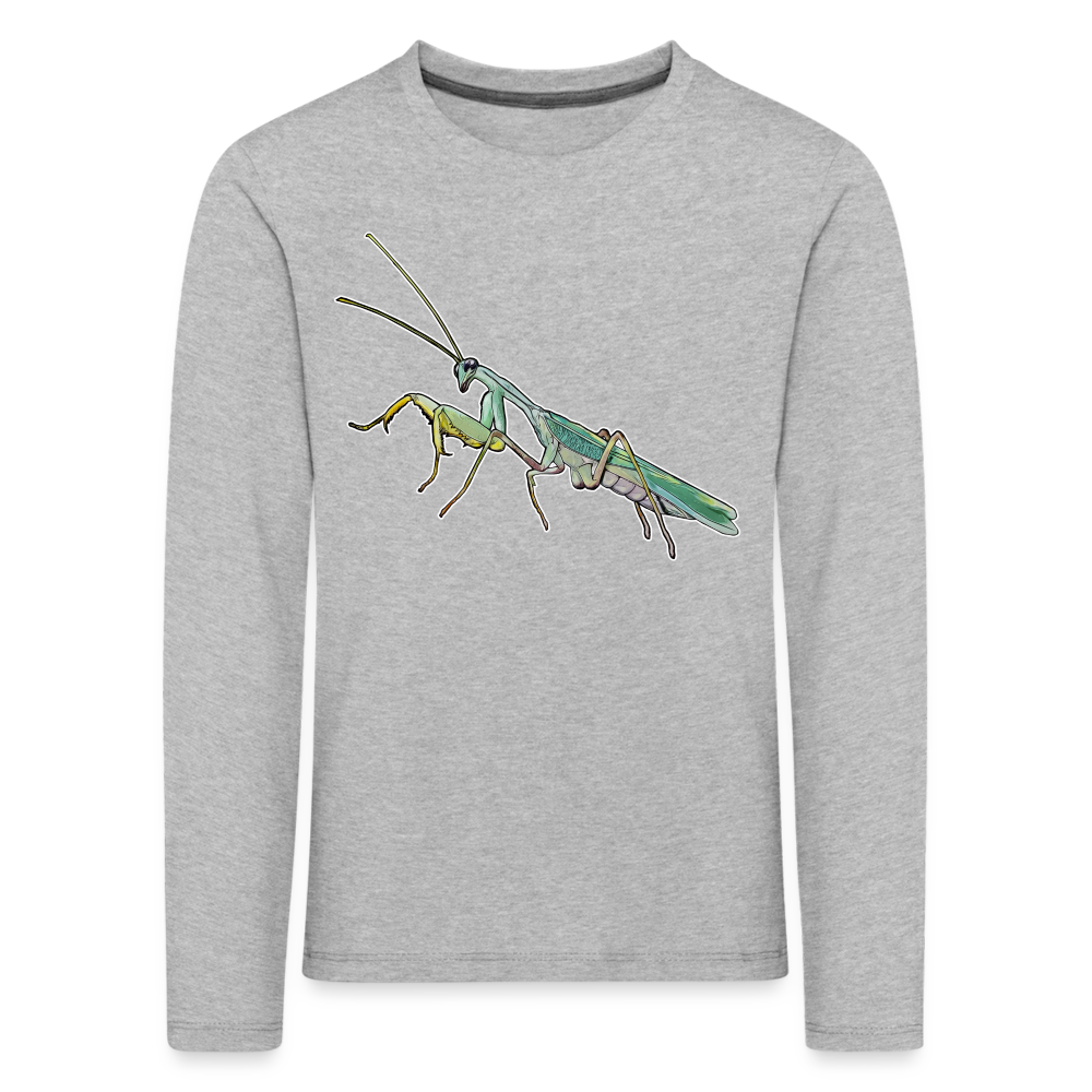 Kinder Longsleeve Sphodromantis lineola male - Grau meliert