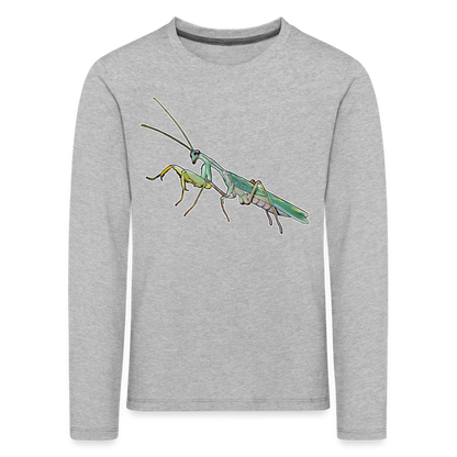 Kinder Longsleeve Sphodromantis lineola male - Grau meliert