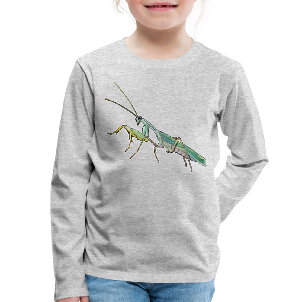 Kinder Longsleeve Sphodromantis lineola male - Grau meliert