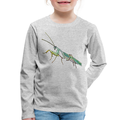 Kinder Longsleeve Sphodromantis lineola male - Grau meliert