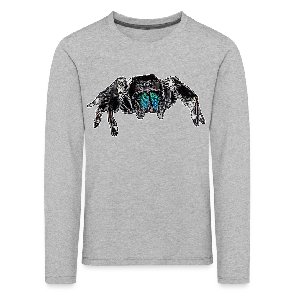 Kinder Longsleeve Phidippus regius Everglades male - Grau meliert
