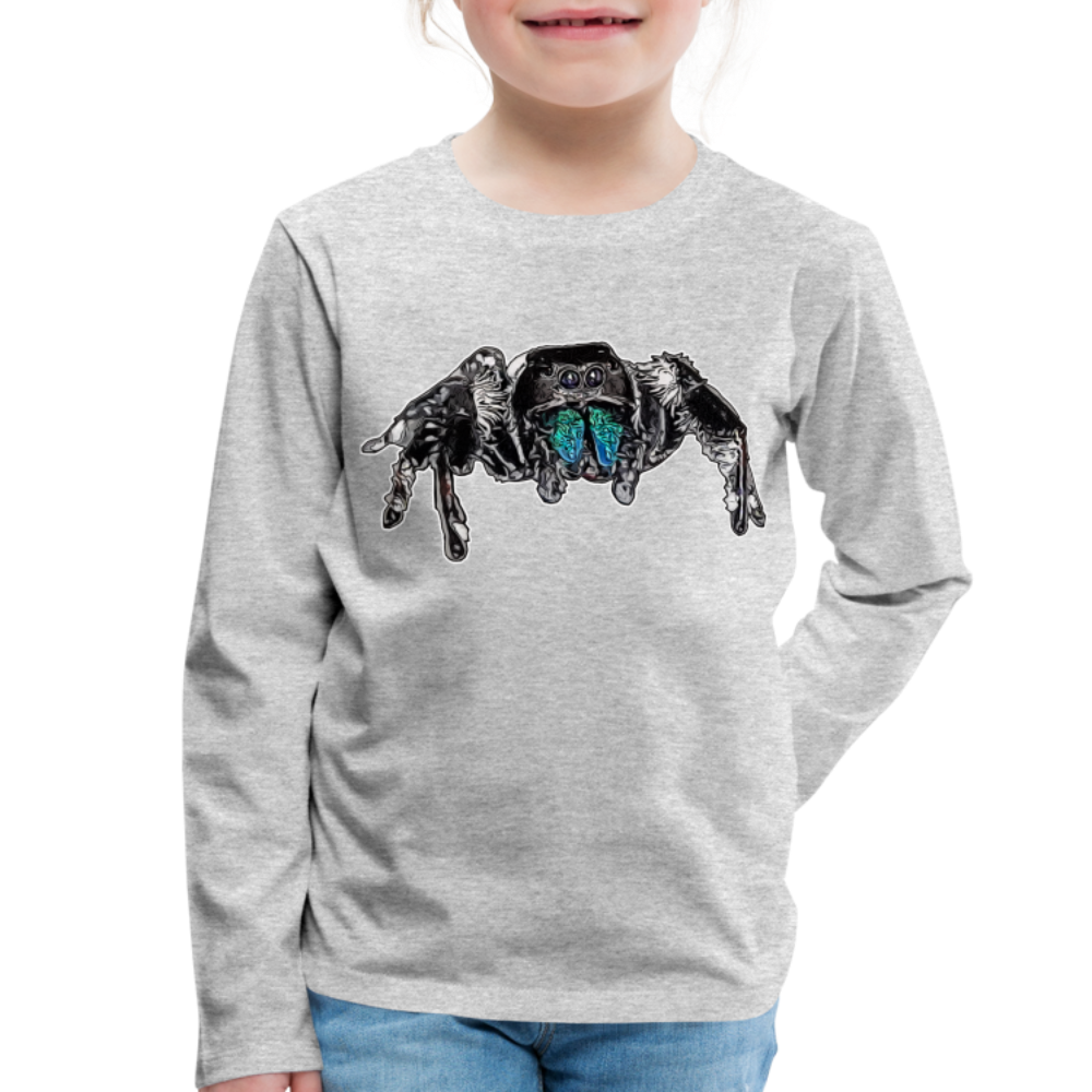 Kinder Longsleeve Phidippus regius Everglades male - Grau meliert