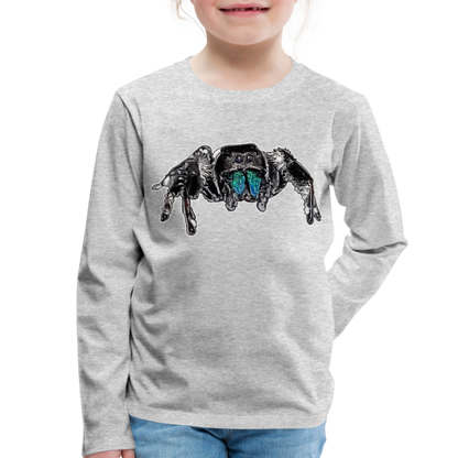 Kinder Longsleeve Phidippus regius Everglades male - Grau meliert