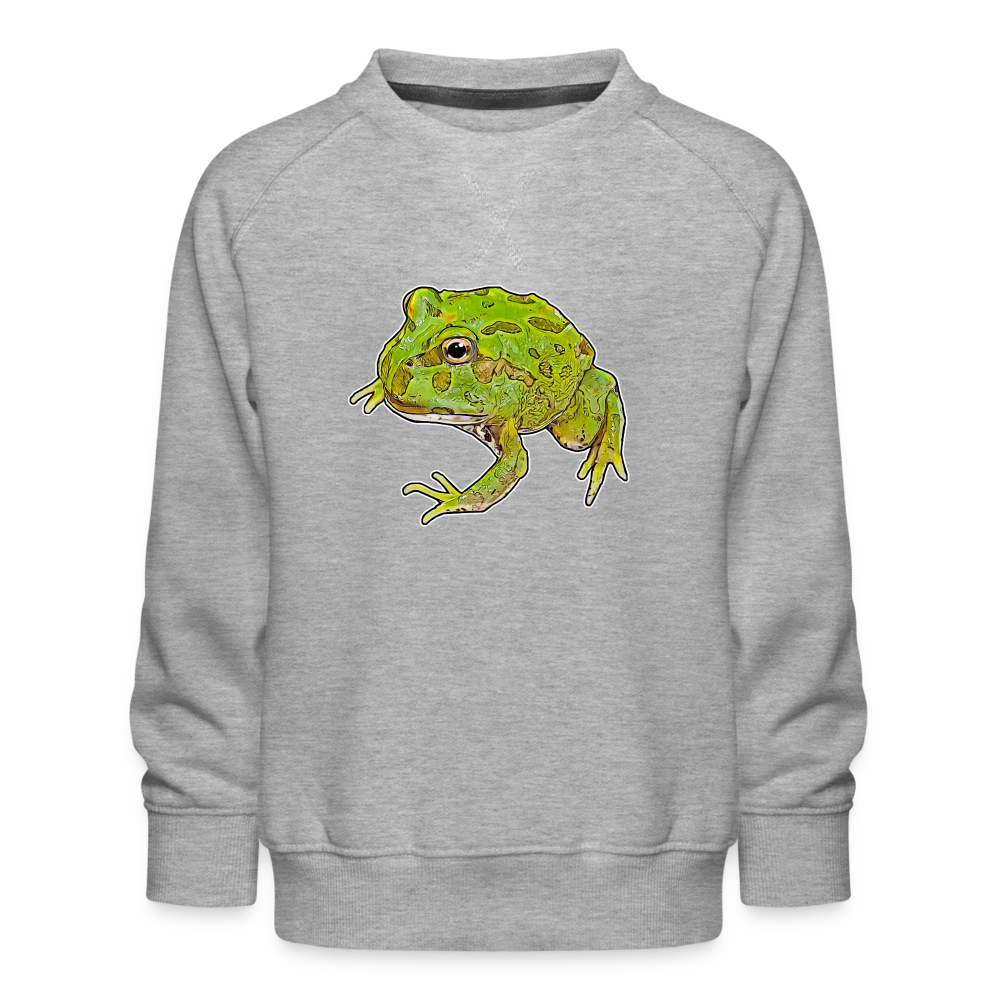 Kinder/ Teenager Pullover Ceratophrys cranwelli Peppermint Blue - Grau meliert