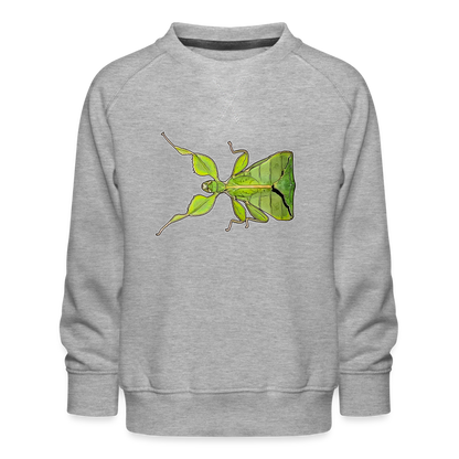 Kinder/ Teenager Pullover Phyllium philippinicum female - Grau meliert