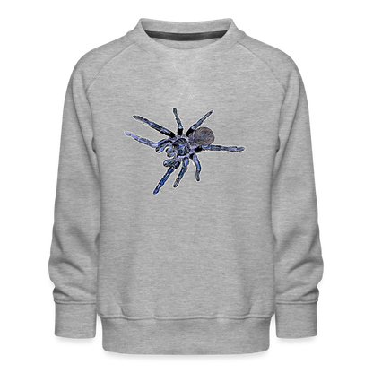 Kinder/ Teenager Pullover Pterinopelma sazimai - Grau meliert