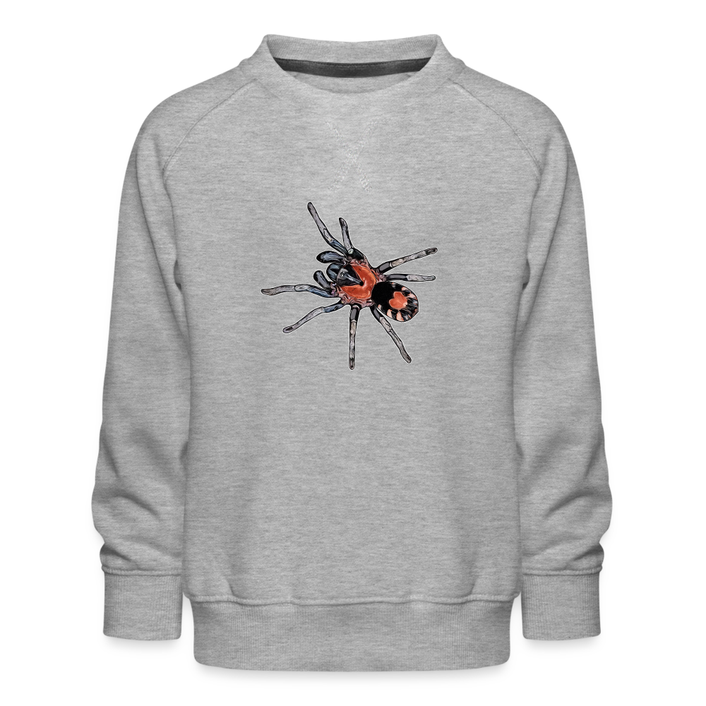 Kinder/ Teenager Pullover Cyriocosmus elegans - Grau meliert